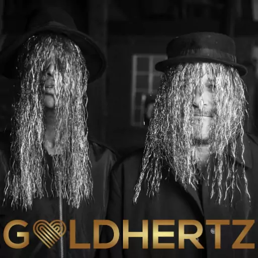 GOLDHERTZ - Music Duo Hamburg